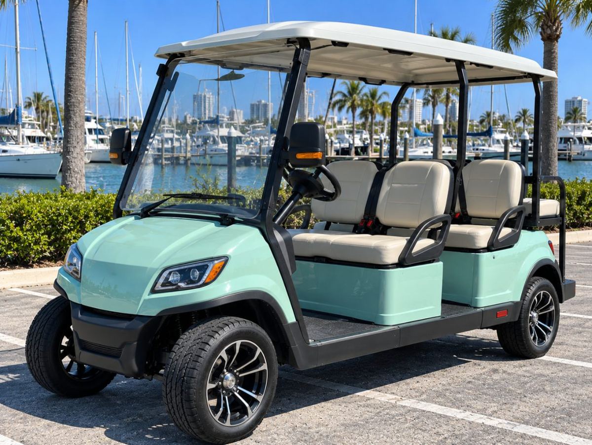 2023 ICON i60 LSV