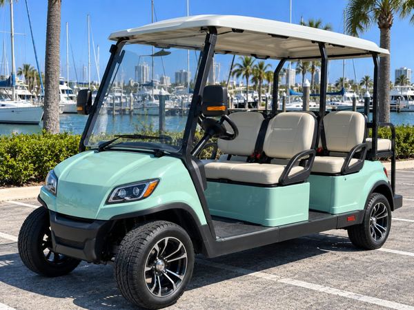 2023 ICON i60 LSV in Tampa, FL